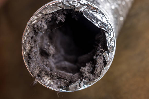 Best Air Vent Cleaning Services  in Allendale, SC